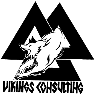 Vikings Consulting